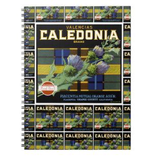 Caledonia Orange Label Multiprint Notizblock