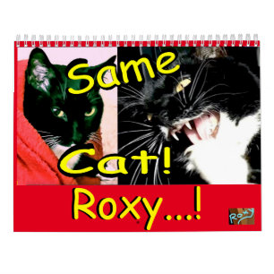 Calendar Cat Roxy Kalender