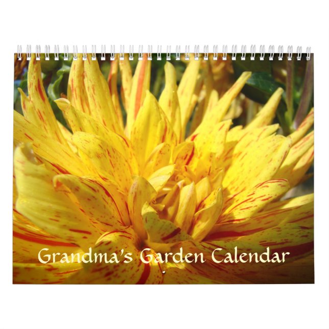 CALENDAR DAHLIAS BLUME Großartiger Garten Kalender (Titelbild)