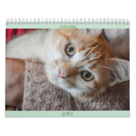 Calendar Englisch und USA Niedlich Schöne Katzen Kalender