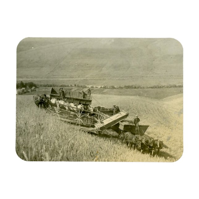 Calendar Magnet (Horizontal)