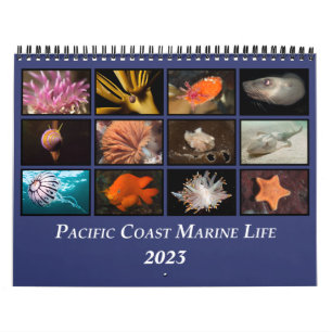 Calendar of Pacific Coast Marine Life Kalender