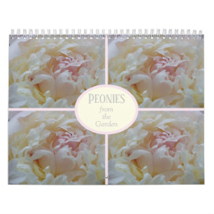 Calendar Peones aus meinem Garten Kalender