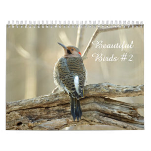 Calendar Schöne Vögel #2 Kalender