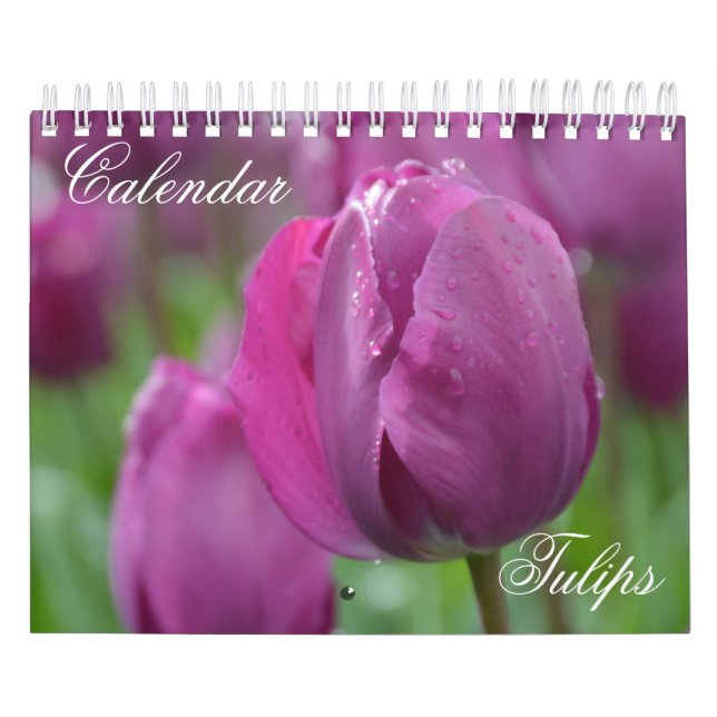 Calendar Tulips Kalender (Titelbild)