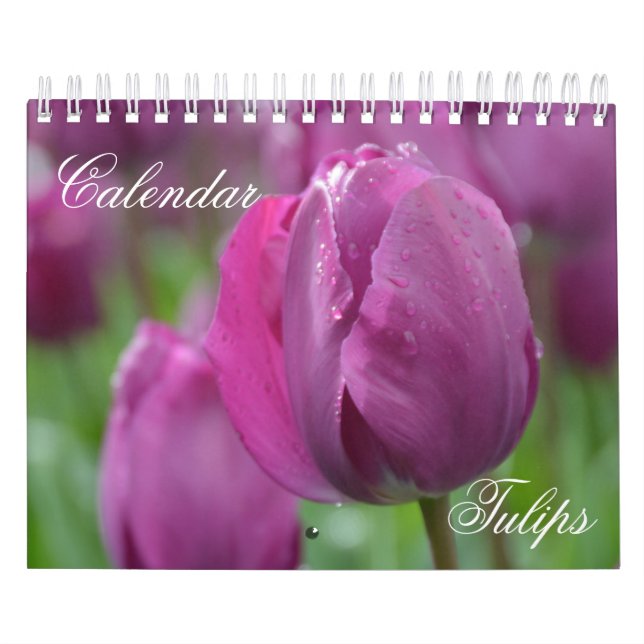Calendar Tulips Kalender (Titelbild)