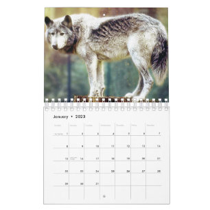 Calendar wolf kalender