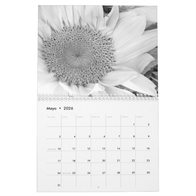Calendario Betrug fotografía en blanco y-Schwarzen Kalender (Mai 2026)