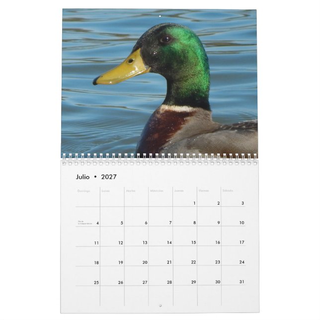 Calendario Betrugfotos de Patos y gansos en-Farbe Kalender (Jul 2027)