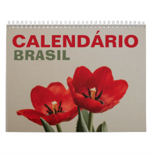 Calendário Brasil com Feriados   Brasilien 2025 Kalender