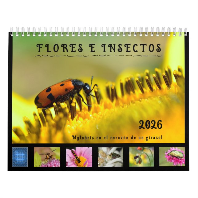 Calendario de 12 meses con varios insectos y flore kalender (Titelbild)
