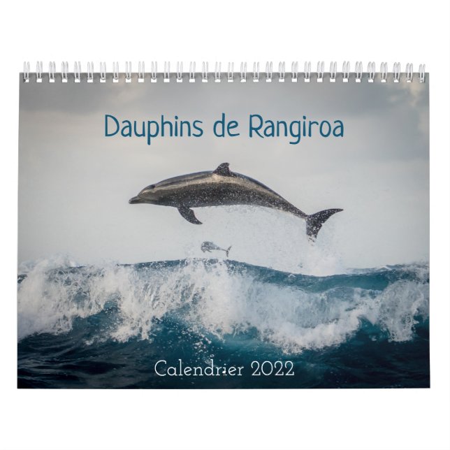 Calendrier des Dauphins カレンダー Kalender (Titelbild)