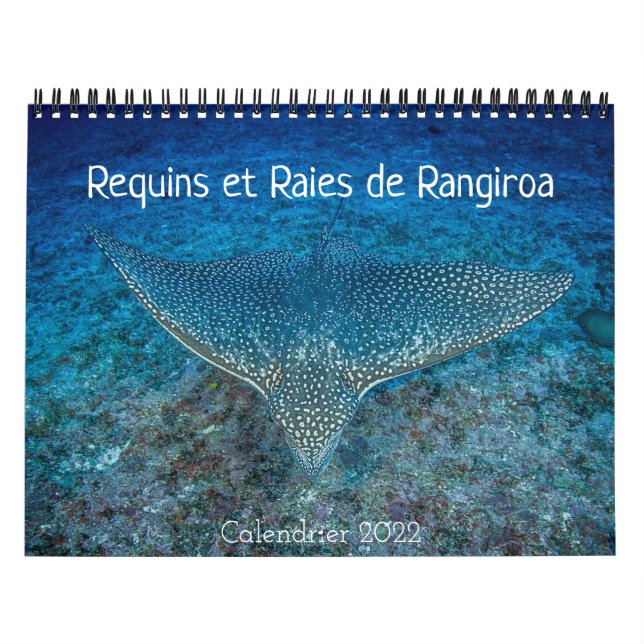 Calendrier des Requins et des Raies カレンダー Kalender (Titelbild)