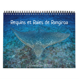 Calendrier des Requins et des Raies カレンダー Kalender