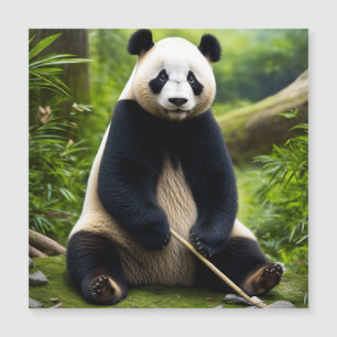 Calendrier Foto Panda Surprise" Magnetkarte
