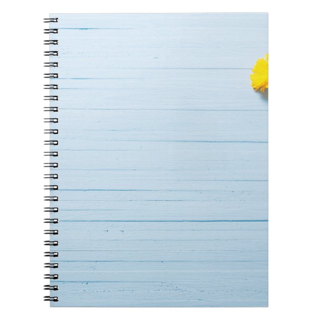 Calendula-Blume: blauer Holzhintergrund Notizblock (Vorderseite)