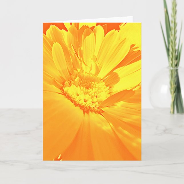 Calendula - dankeskarte (Vorderseite)