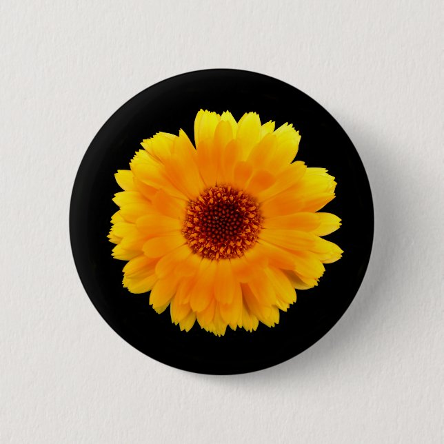 Calendula Officinalis Abzeichen Button (Vorderseite)