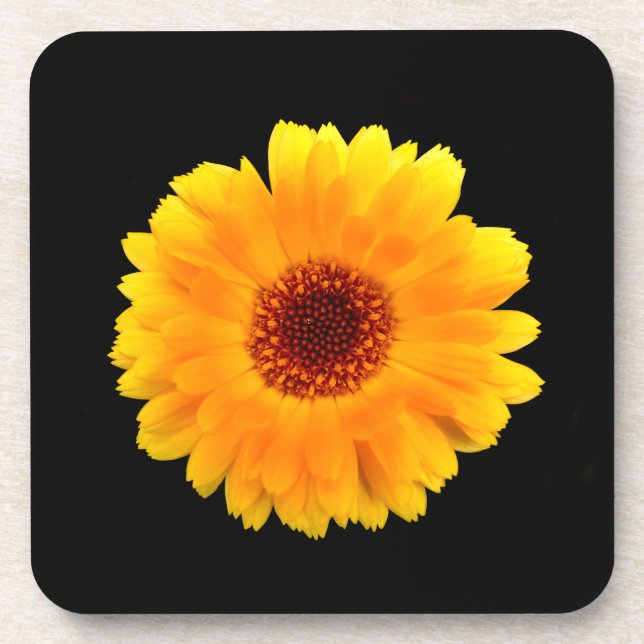 Calendula Officinalis Getränkeuntersetzer (Vorderseite)