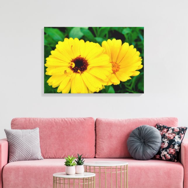 Calendula Officinalis Leinwanddruck (Insitu (Wohnzimmer))