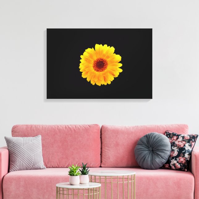 Calendula Officinalis Leinwanddruck (Insitu (Wohnzimmer))
