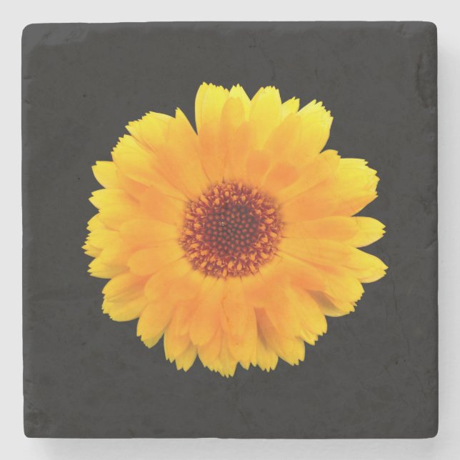 Calendula Officinalis Steinuntersetzer (Vorderseite)