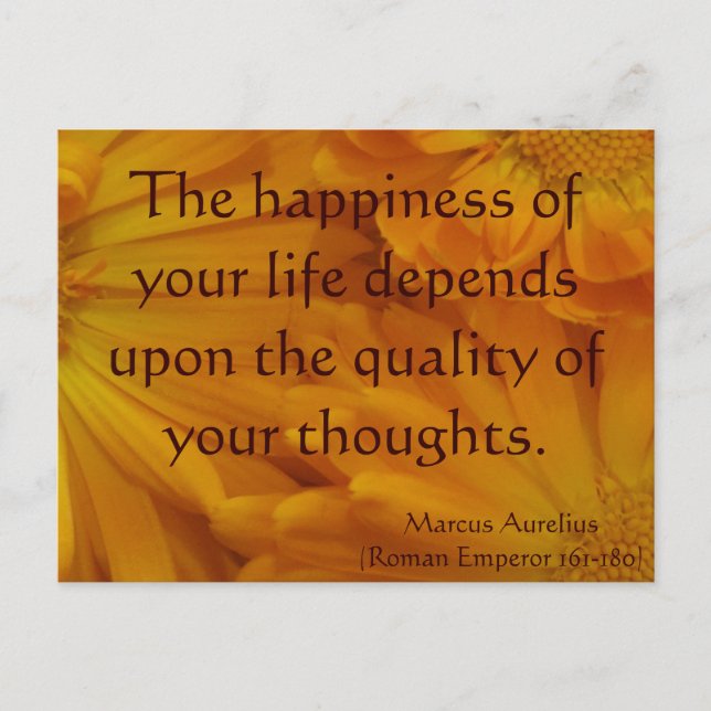 Calendula Postkarte (Vorderseite)