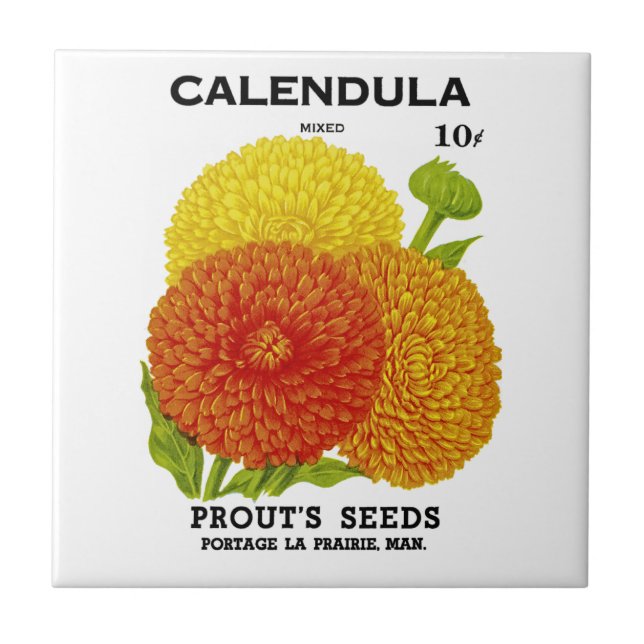 Calendula Vintage Saatpackung Fliese (Vorderseite)