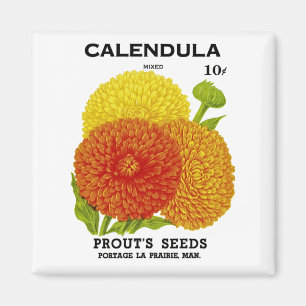 Calendula-Vintages Samen-Paket Magnet