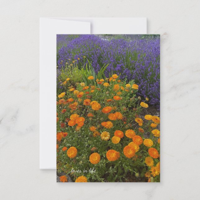 Calendulas & Lavender Mitteilungskarte (Vorderseite)