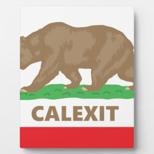 Calexit Fotoplatte