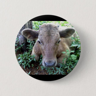 Calf 1, Button