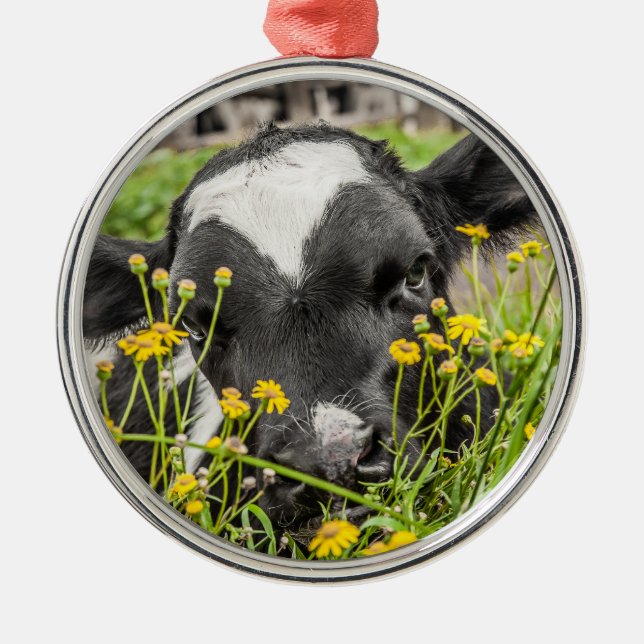 Calf Behind Blume Ornament Aus Metall (Vorne)