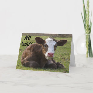 CALF KANN NICHT GLAUBEN, DASS SIE ***40*** GEBURT KARTE