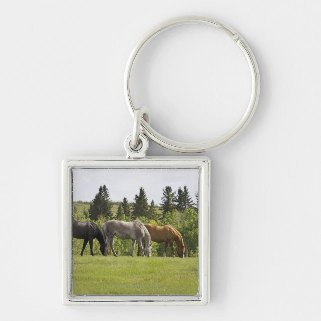 Calgary, Alberta, Kanada Schlüsselanhänger (Vorne)