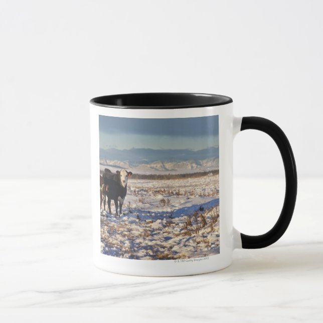 Calgary, Alberta, Kanada Tasse (Rechts)