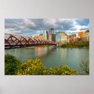 Calgary City and Peace Bridge Landschaftliche Auss Poster