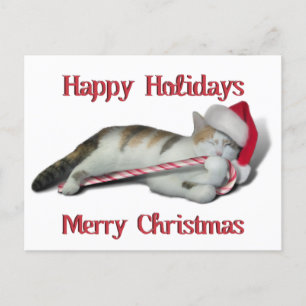 Cali, die Candy Cane Kitty Postkarte