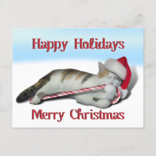 Cali, die Candy Cane Kitty Postkarte