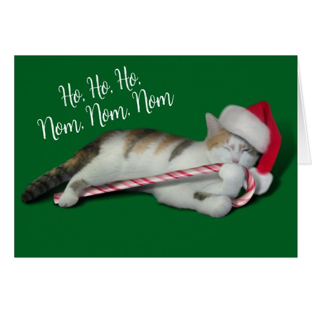 Cali, die Weihnachtscreme Cane Kitty (Vorderseite (Horizontal))