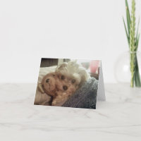 Cali Lutscher Furiends Furever leeres Notecard