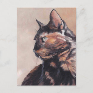 Calico American Shorthair Cat Postcard Postkarte