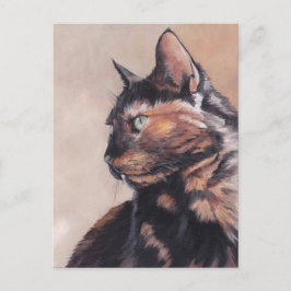 Calico American Shorthair Cat Postcard Postkarte