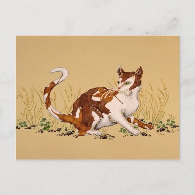 Calico Autum Postkarte (Vorderseite)