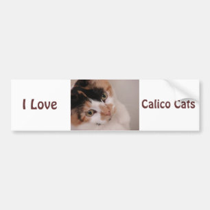 Calico Beauty Cat Autoaufkleber