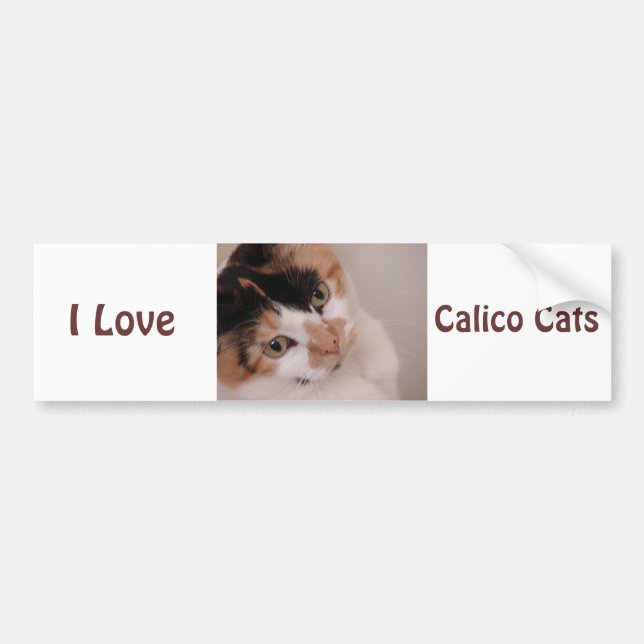 Calico Beauty Cat Autoaufkleber (Vorne)