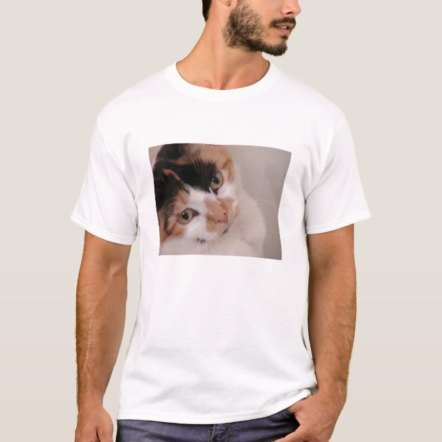 Calico Beauty Cat T-Shirt (Vorderseite)