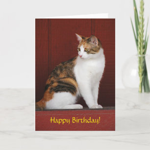 Calico Cat Birthday Card Karte