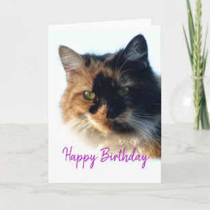Calico cat Birthday Karte
