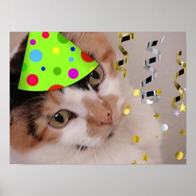 Calico Cat Birthday Party Poster (Vorne)